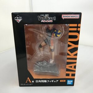 Hinata Shoyo Figure