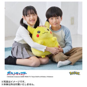 即完売した『ポケモン』30周年記念「おかえり！ピカチュウ1/1 ...