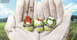 サンリオキャラクターとベストマッチなフードは白菜だった!?白菜 ...