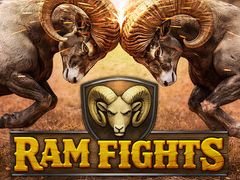 4Gamer.net ― 日本最大級の総合ゲーム情報サイト。最新ゲームの ...