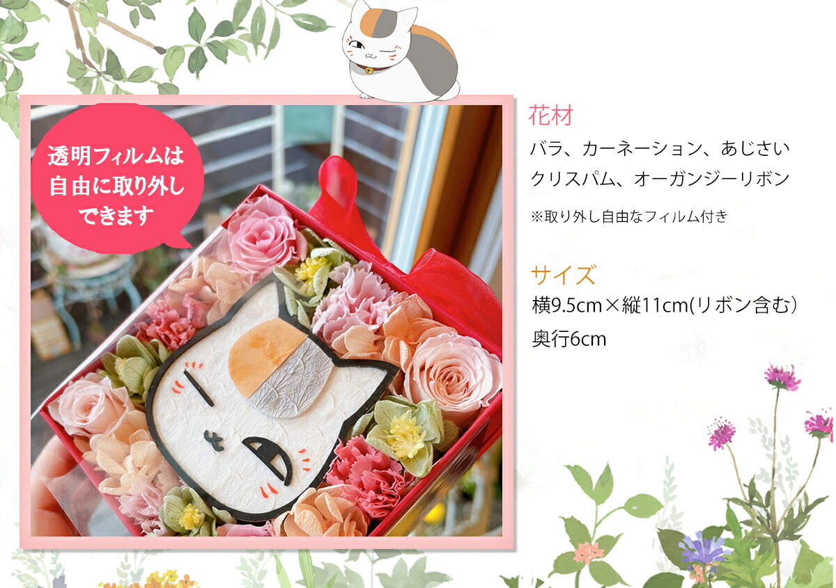 Nyanko-sensei Red Box