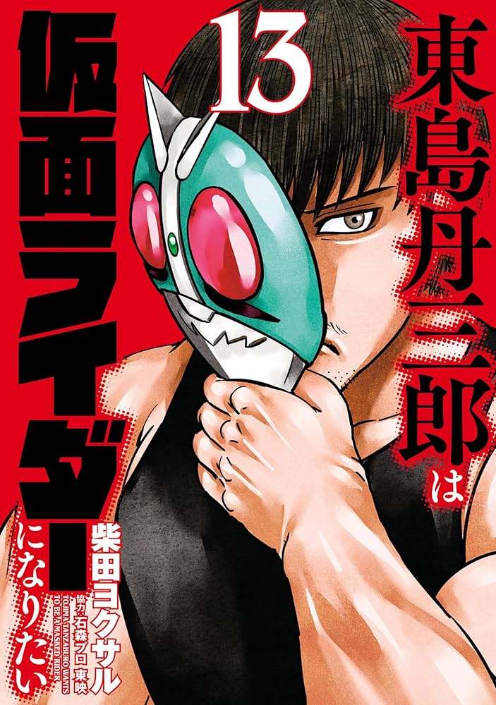 Vol 13 Cover