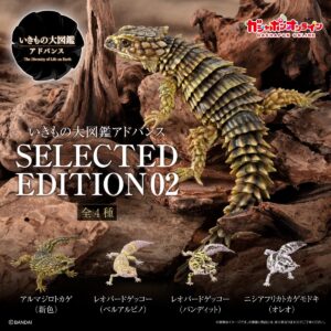 いきもの大図鑑アドバンス SELECTED EDITION 02 | ナムコパークス オンラインストア | NAMCO Parks