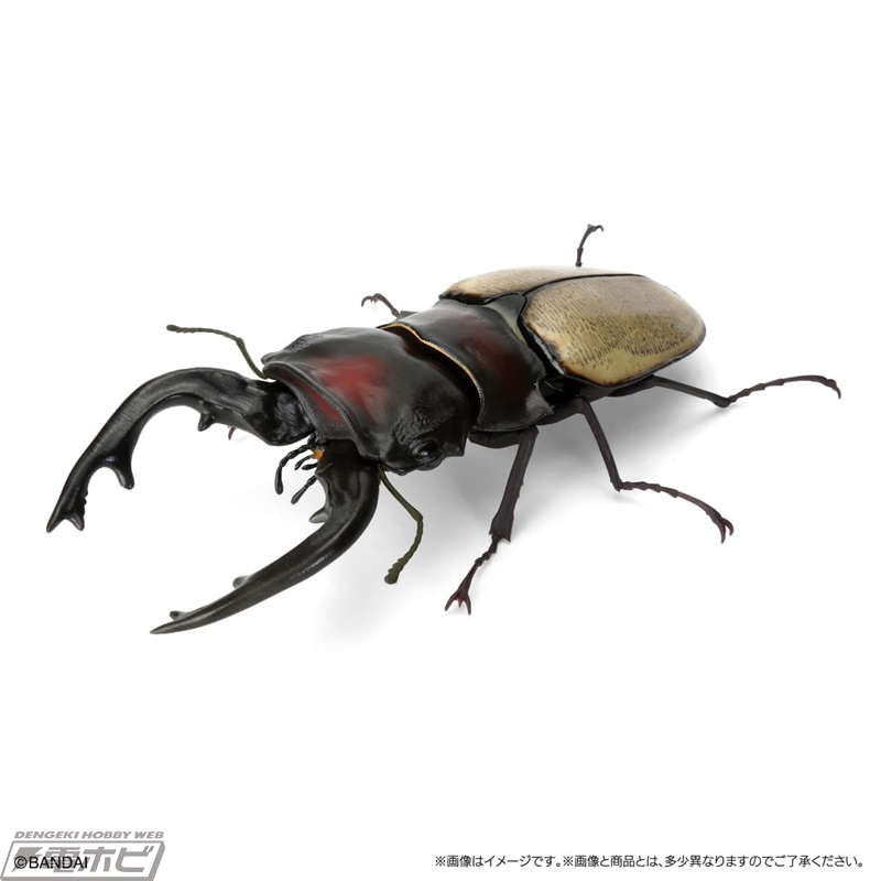 kuwagata12_detail