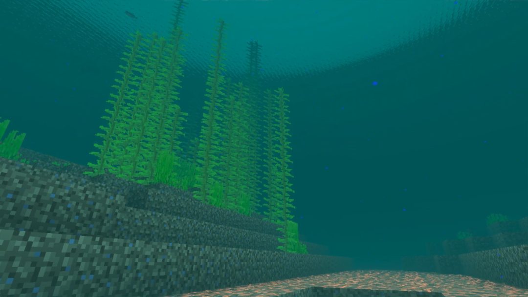 image3