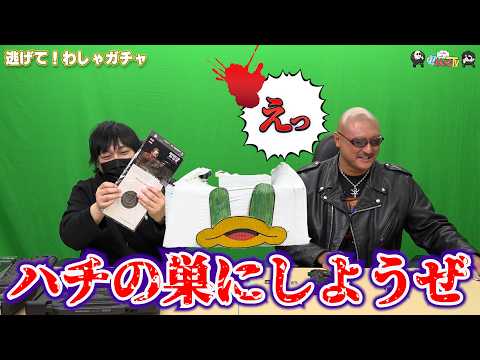 Washagana TV episode dengan Nakamura dan Kajita