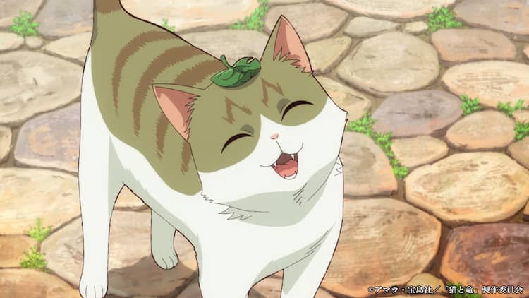 Visual anime