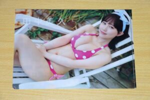 Amazon.co.jp: HKT48 Miku Tanaka Magazine Bonus Item Front and Back Clear File Gravure Swimsuit Photography : Toys & Games