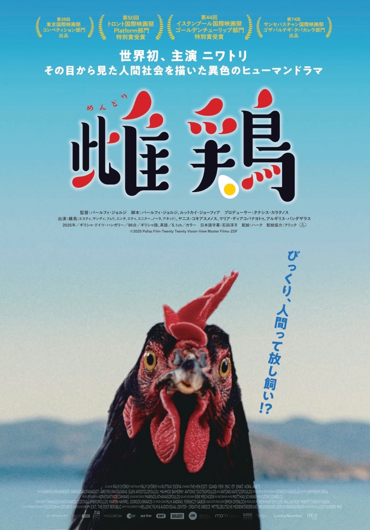 CG・AIほぼなしで実演 世界初のニワトリ主演映画『雌鶏』9月25日公開決定｜Real Sound｜リアルサウンド 映画部