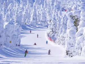 Zao Snow Monster Festival 2026: Dates, Access, and Hotels - Japan Travel Guide MATCHA