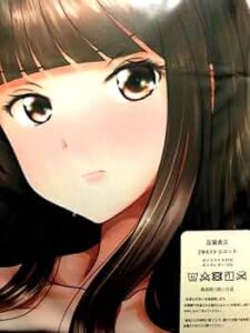 Girls und Panzer Shiho Nishizumi & Chiyo Shimada Dakimakura Cover : Hobbies - Amazon.co.jp