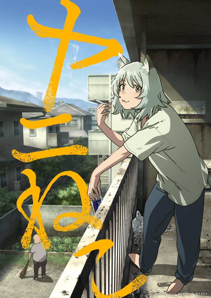 Manga series Yani Neko (Chainsmoker Cat) will be receiving a TV anime adaptation by Bibury Animation Studios to start airing in July 2026. Director: Taku Kimura Script: Takashi Aoshima Character Design: Riki