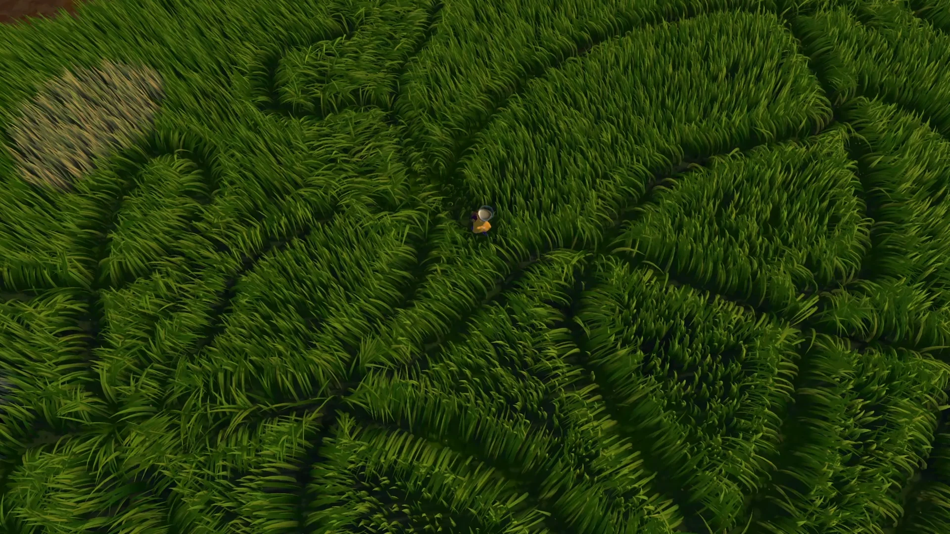 I get distracted from my own game because of a small detail: grass flattening