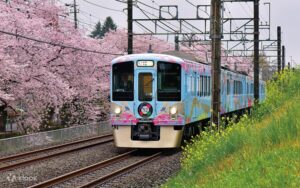 fifty two seats of happiness by Seibu Railway - Klook