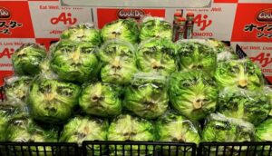 Death Note, Battle Royale star Tatsuya Fujiwara's face printed on limited edition heads of lettuce in battle against Japan's “lettuce crisis” - AUTOMATON WEST