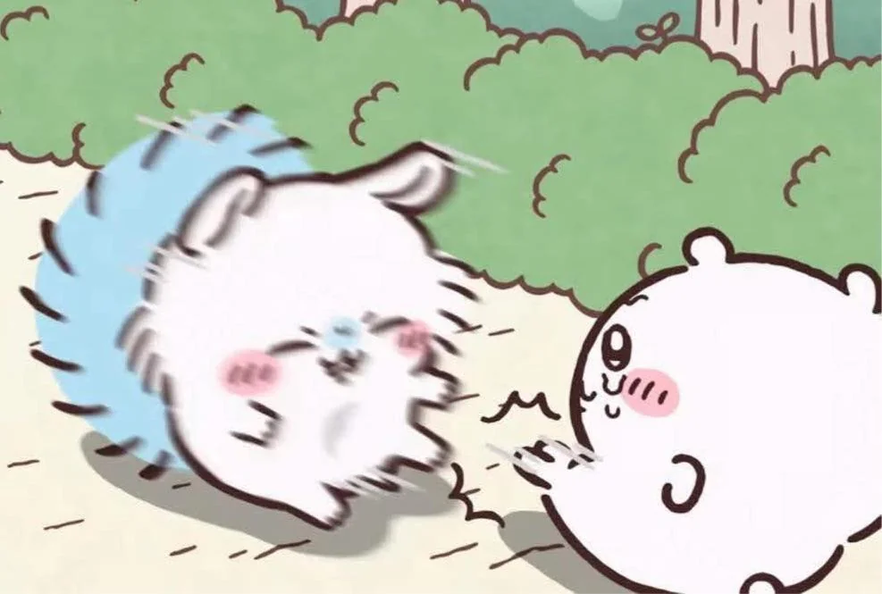 Chiikawa vs Momonga 🤣 : r/chiikawa_
