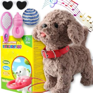 Amazon.com: Teddy Walking Barking Dog Toy Singing Puppy Set, Repeat What You Say Teddy with Control Leash Electronic Dog, Touch or Voice Control Realistic Robot Musical Dancing Animated Plush Pet for Toddler :