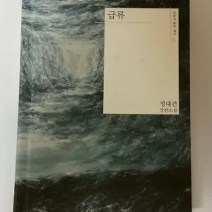 Rapids Jung Dae-geon Novel Sell | Bunjang Global
