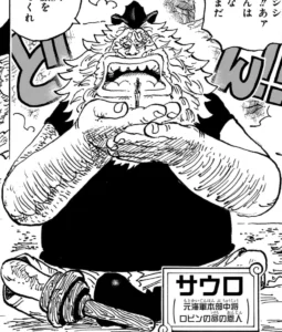 Jaguar D. Saul | One Piece Wiki | Fandom