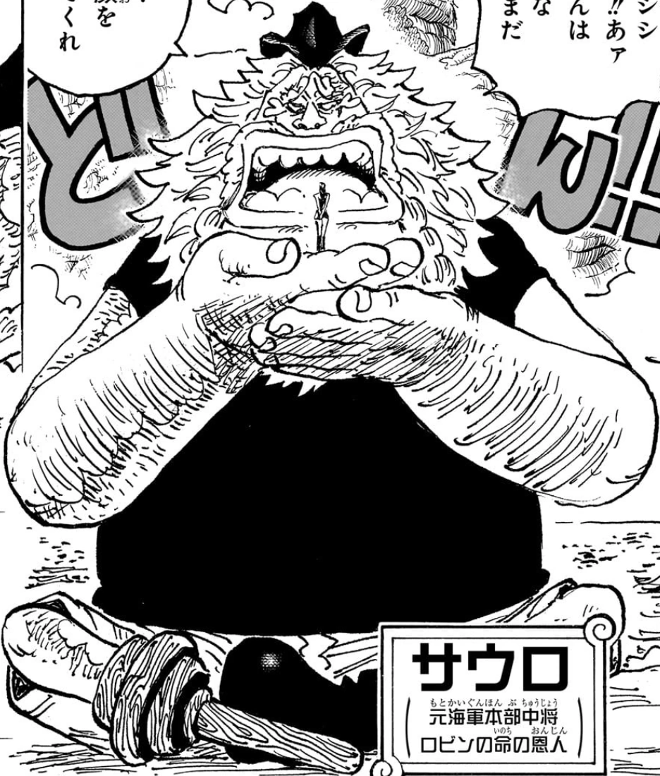 Jaguar D. Saul | One Piece Wiki | Fandom