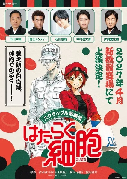Cells at Work! Gets Kabuki Stage Play in April 2027 - News - Anime News Network