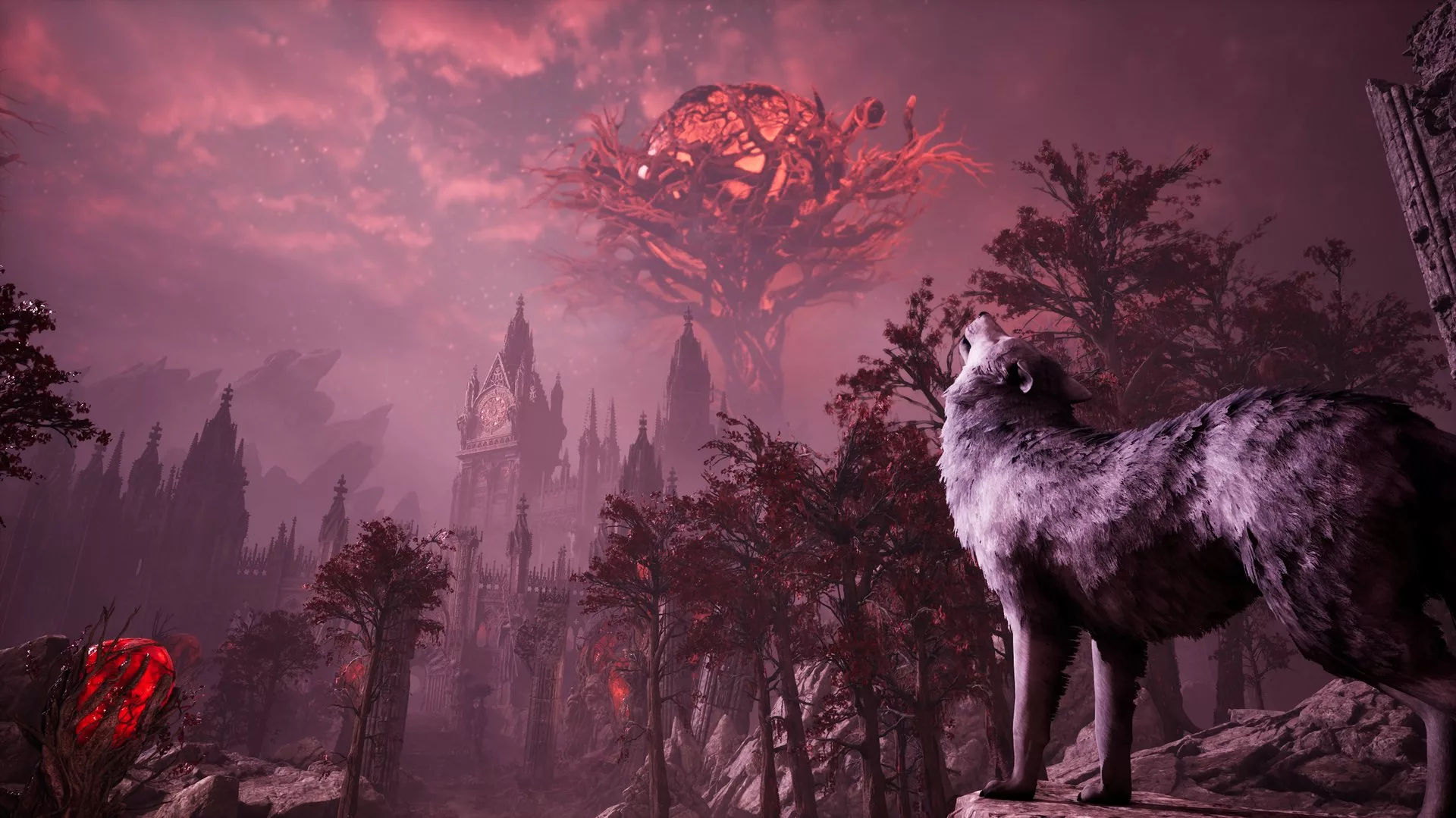 Parry Frames Studio Announces Stray Dog: nobody cares, A Soulslike Where You Play As The Dog - Back2Gaming