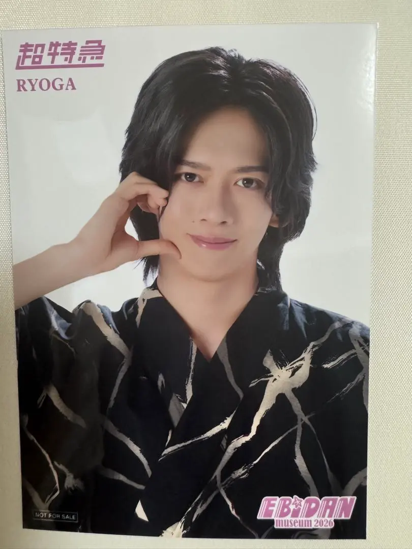 EBiDAN Museum Entrance Bonus Late Period Chotokkyu Ryoga ‐ Mercari Japan: Shop from Japan