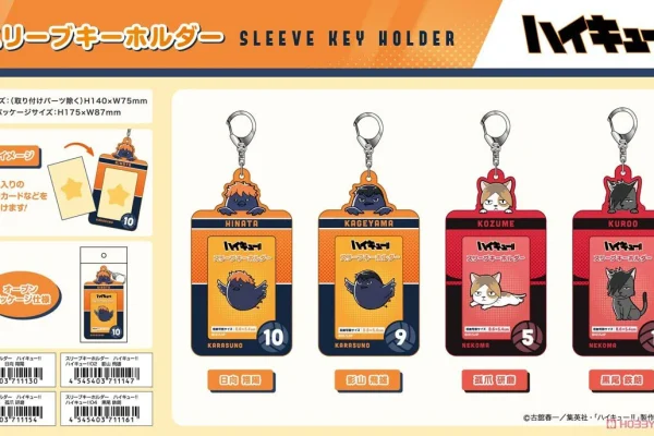 [Haikyuu!] Photocard Holder- Hinata Crow