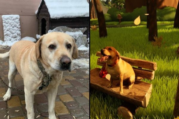 My 15-year-old Labrador passed away just days before the release of my first Steam game. I decided to immortalize him in it. : r/IndieGaming