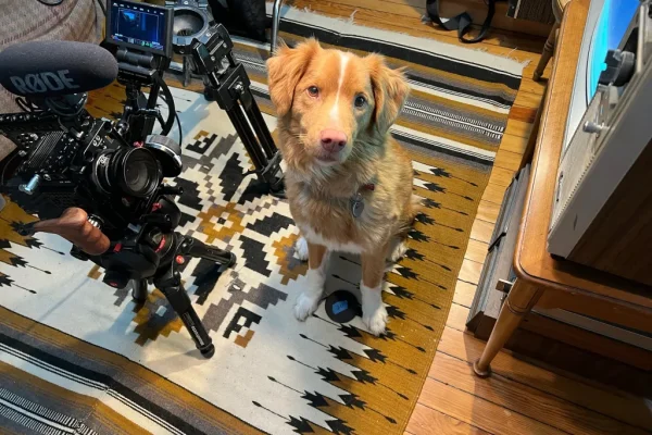 Good Boy' Creator Ben Leonberg on Directing His Dog to Horror Stardom