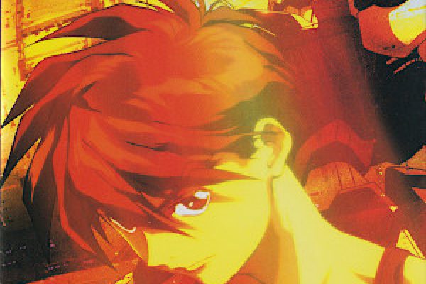Gundam Wing – Blind Target | Manga Passion