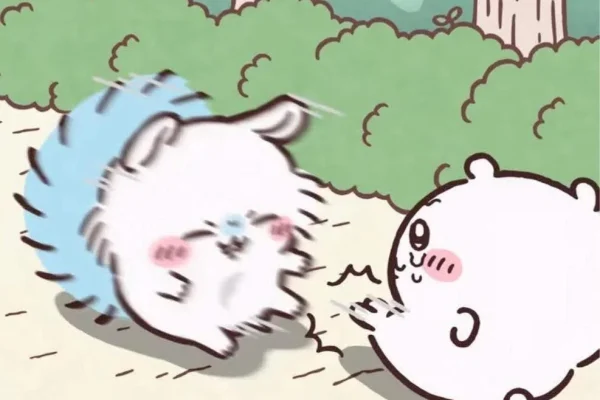 Chiikawa vs Momonga 🤣 : r/chiikawa_