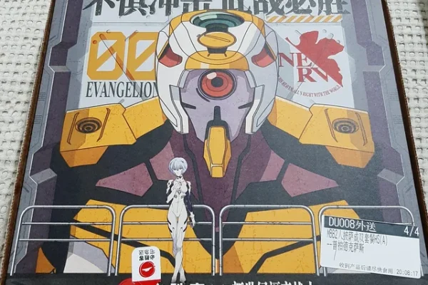 Ordered Pizza Hut and got this. A surprise to be sure, but a welcome one! : r/evangelion