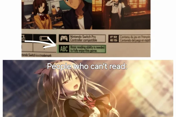 The real reason why people don't read visual novel : r/visualnovels