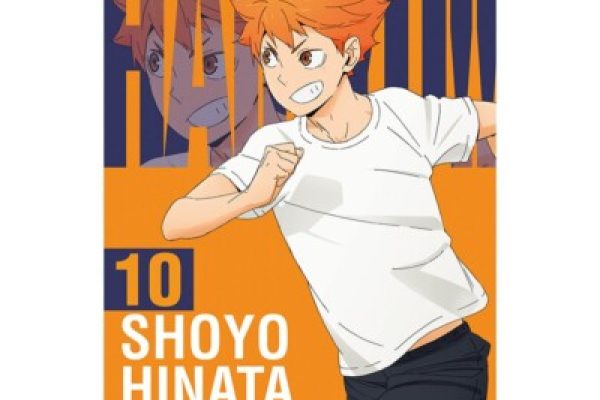 RARE Haikyuu The view from the top Kuji Shoyo Hinata Art board from JAPAN | eBay